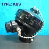 kbs-1s.jpg (12967 bytes)